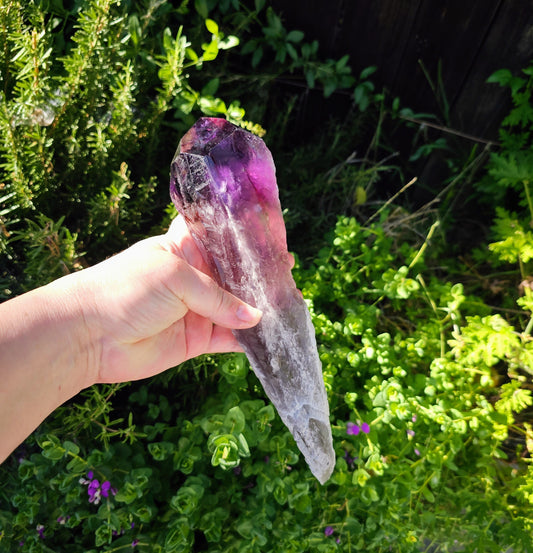 Elestial Amethyst Root Point – Rare Boho Crystal Collector’s Piece