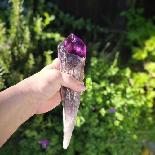 Elestial Amethyst Root Point – Rare Boho Crystal Collector’s Piece