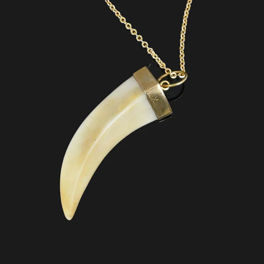 What does a tusk necklace mean?