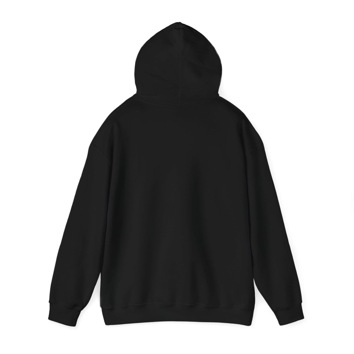 Feather Drawing Hoodie