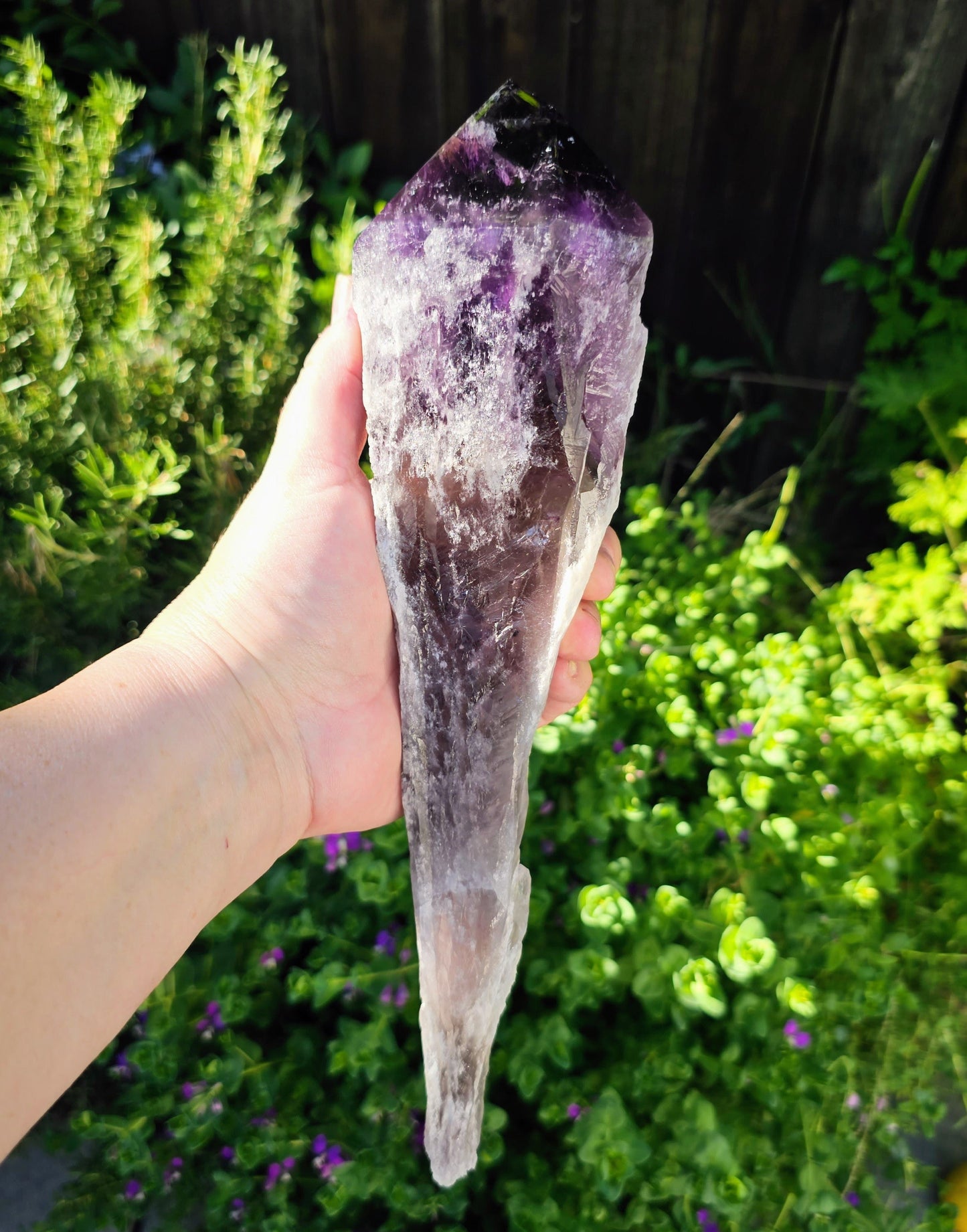 Elestial Amethyst Root Point