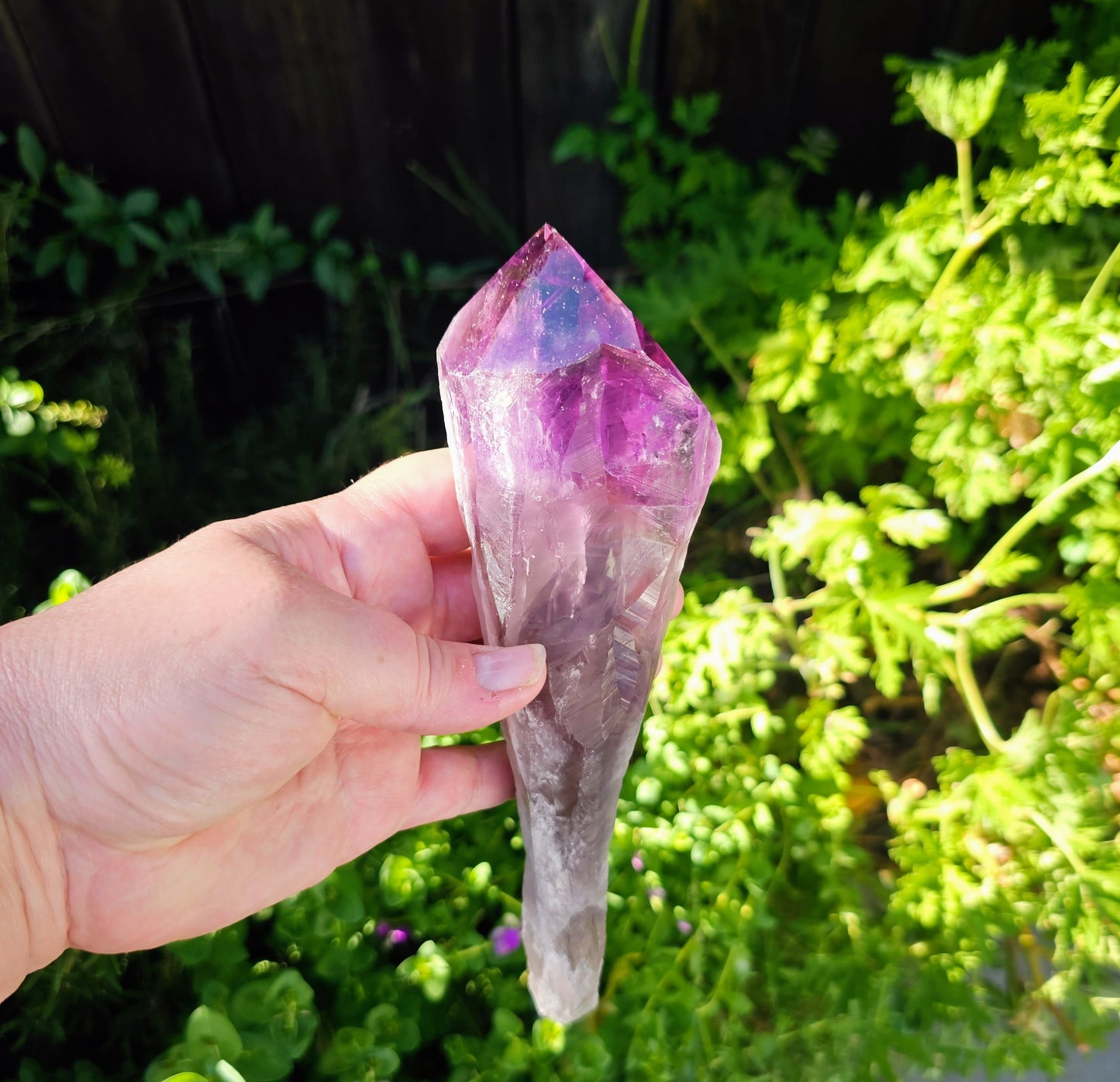 Elestial Amethyst Root Point