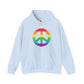 Rainbow Peace Sign Hoodie