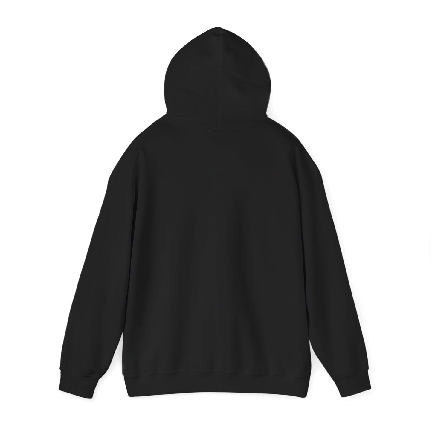 Native American Dream Catcher Hoodie
