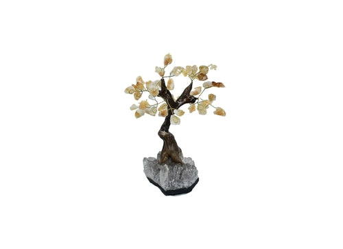 Gemstone Bonsai Tree