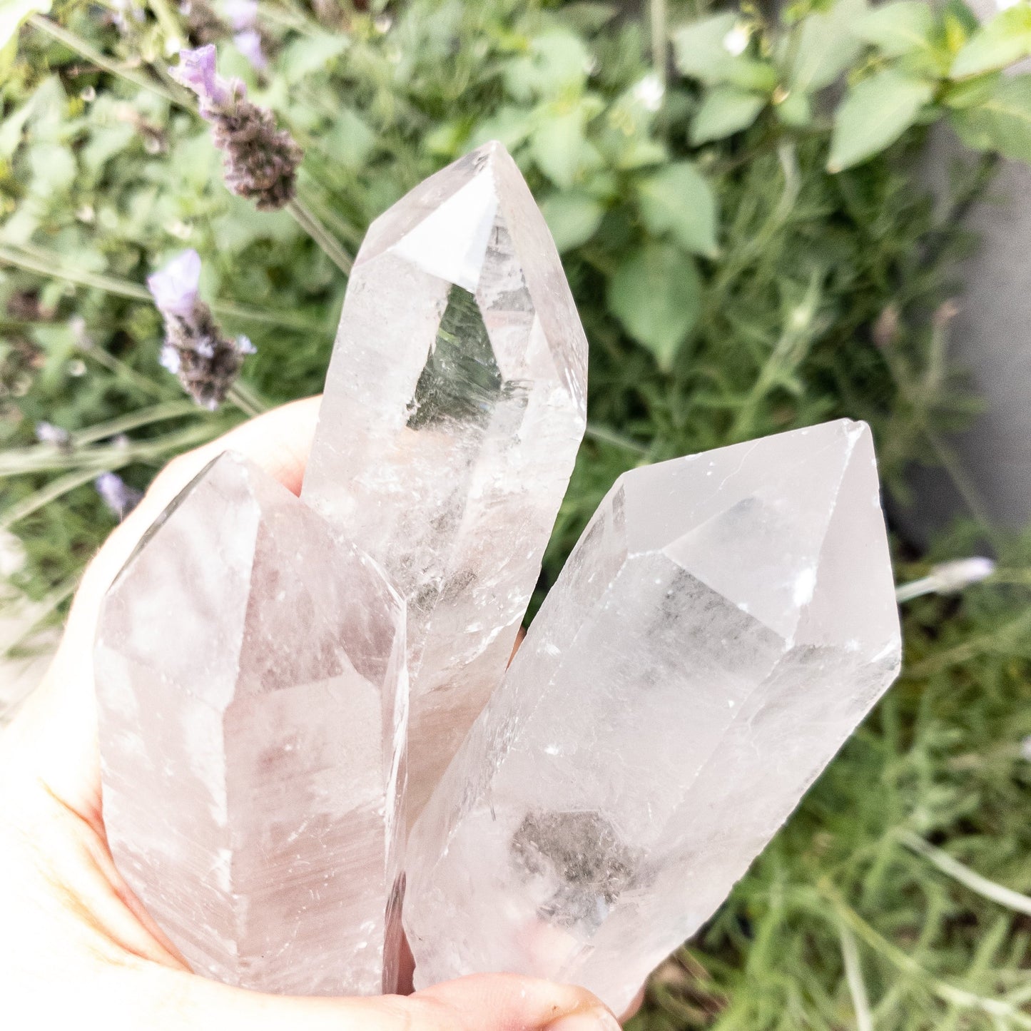 Crystal Quartz Points