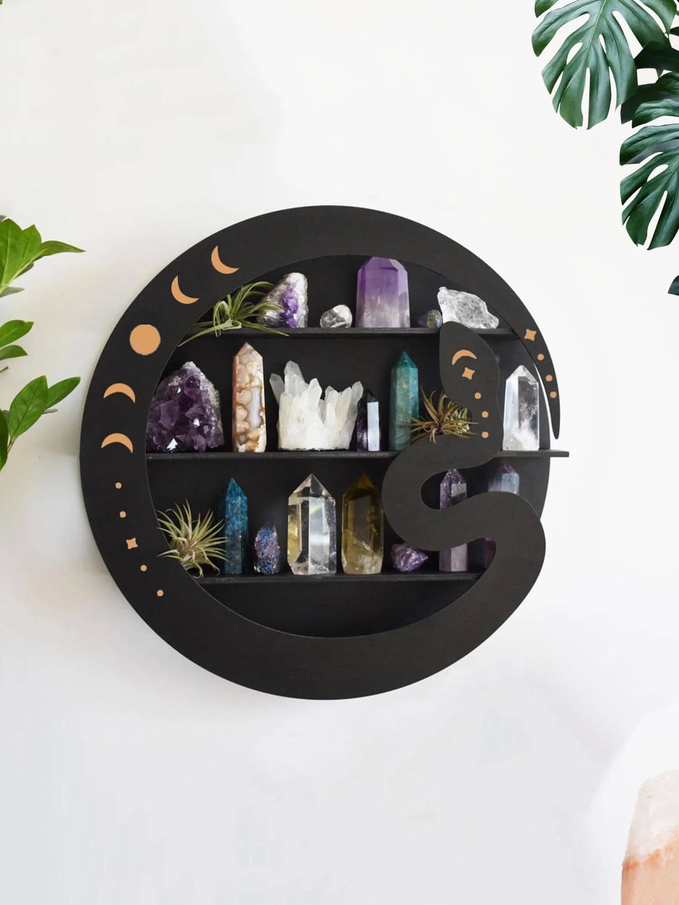 Half Moon Butterfly Crystal Display Shelf