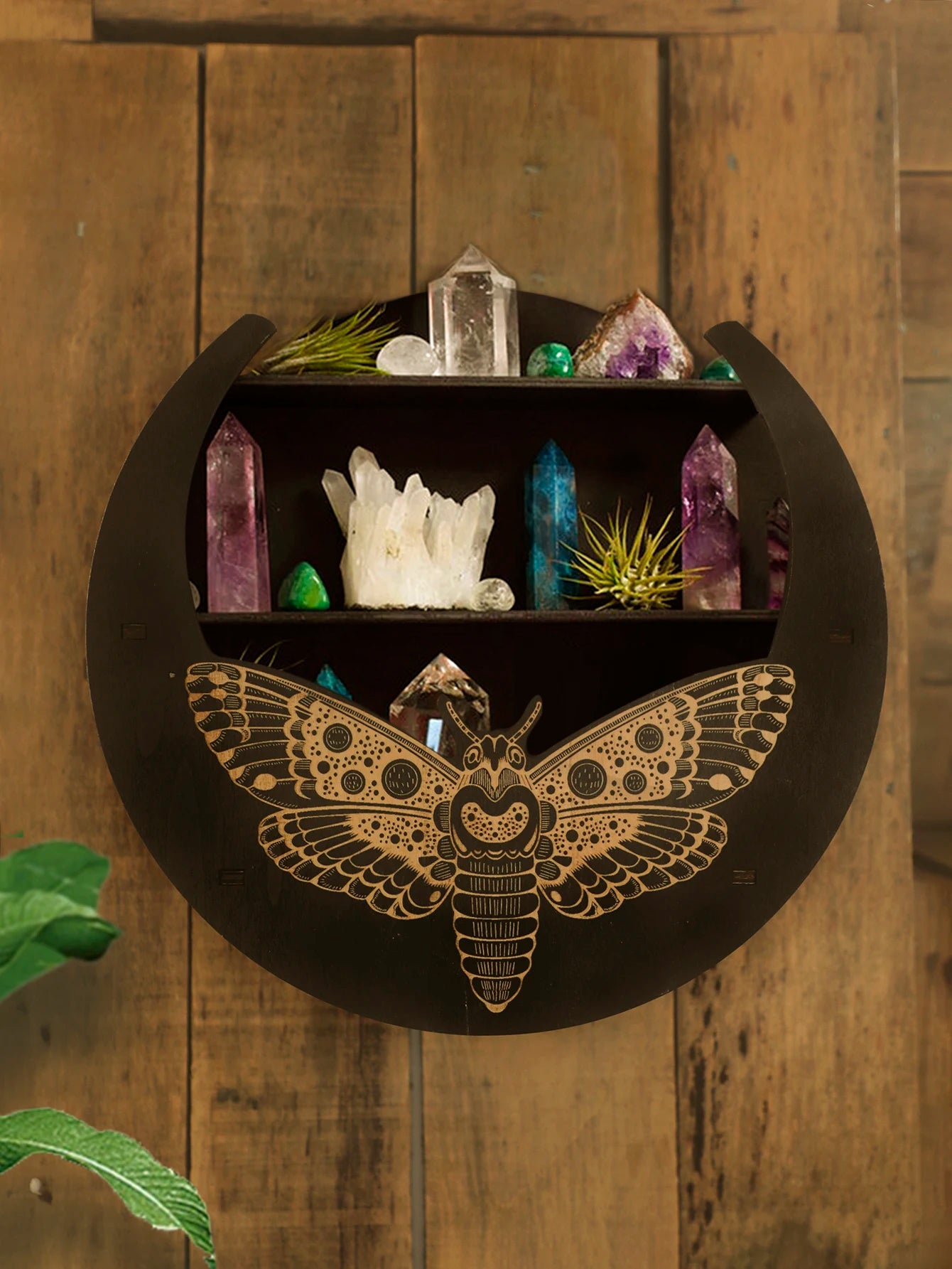 Half Moon Butterfly Crystal Display Shelf