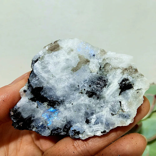 Moonstone Labradorite Crude Raw Ore Marker Stone