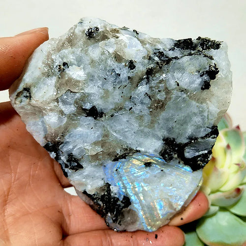 Moonstone Labradorite Crude Raw Ore Marker Stone