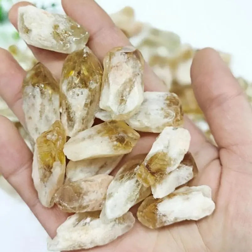 Natural Brazilian Rough Citrine Cluster