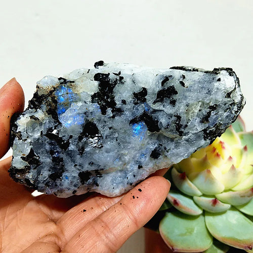 Moonstone Labradorite Crude Raw Ore Marker Stone