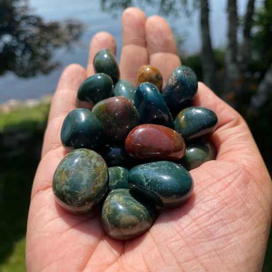 Bloodstone Tumbled Stones (S-M)