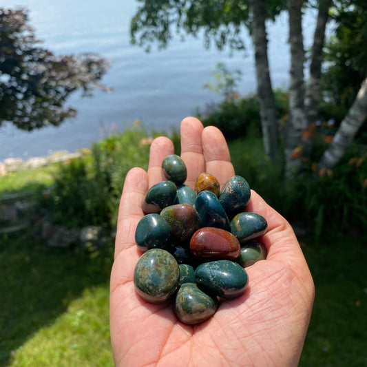 Bloodstone Tumbled Stones (S-M)