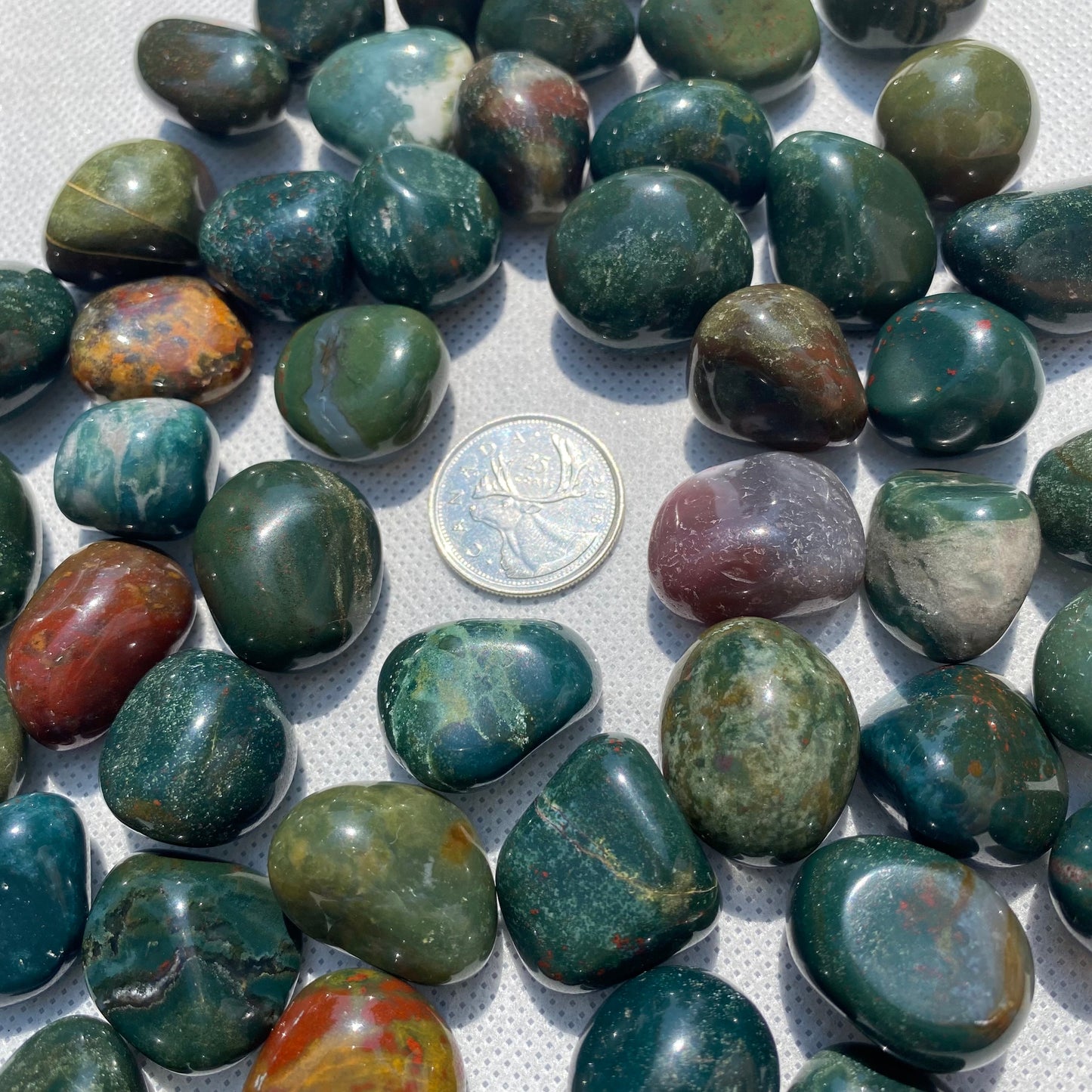 Bloodstone Tumbled Stones (S-M)