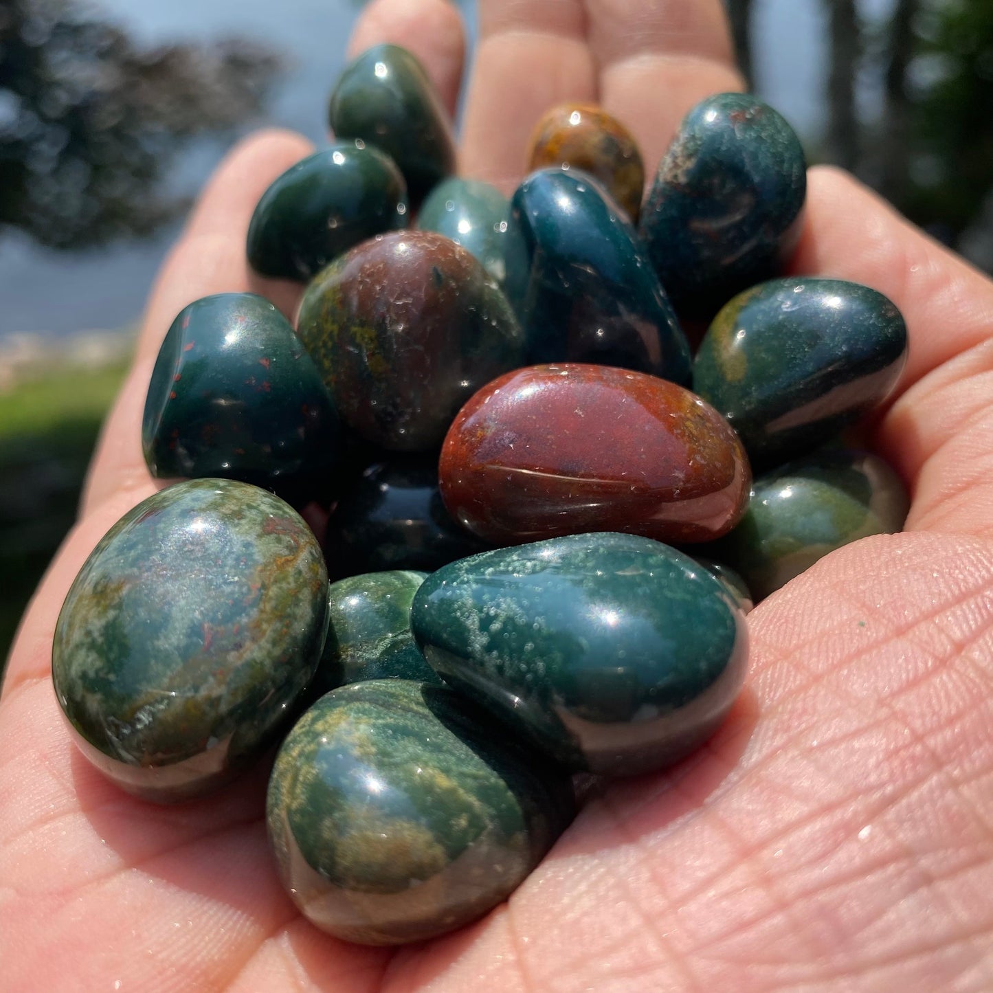 Bloodstone Tumbled Stones (S-M)